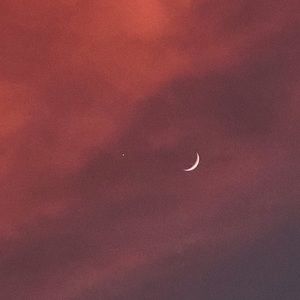 Meet your Posher, Celine